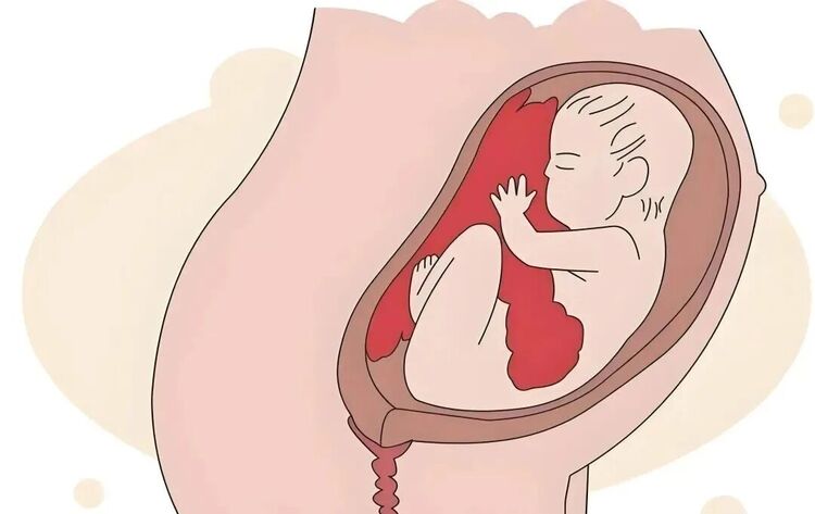 妊娠与分娩.jpg 妊娠与分娩.jpg