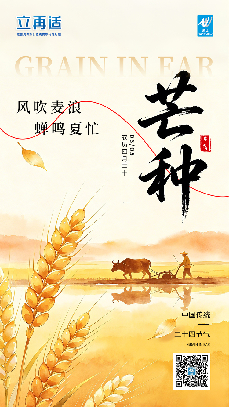 芒种.jpg 芒种.jpg